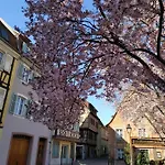 Semesterbostad Au Brochet Colmar
