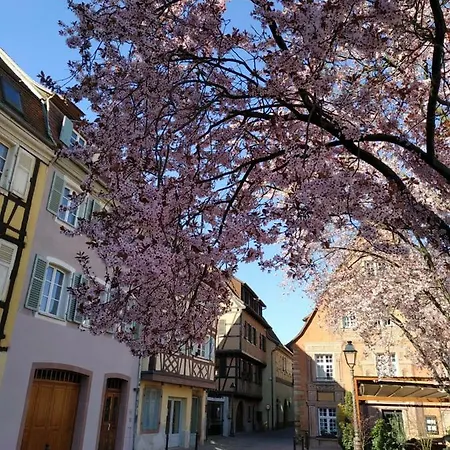 بيت للعطل Au Brochet كولمار