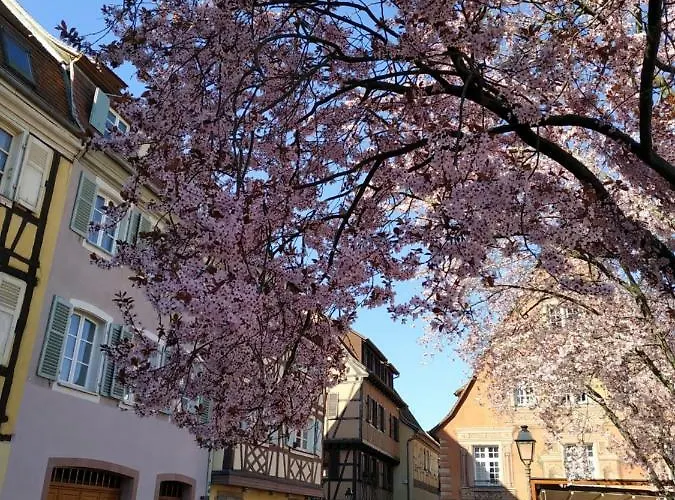 Dom wakacyjny Au Brochet Colmar